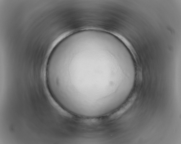 X0000113560957200910161453