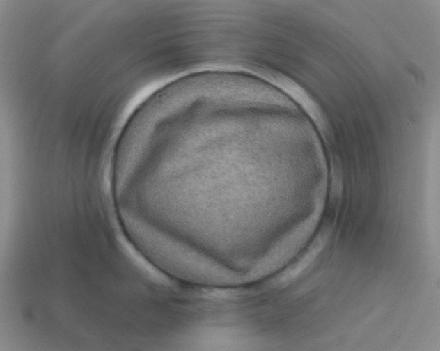 X0000113560958200910161453