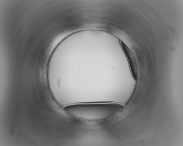 X0000113560960200910161453