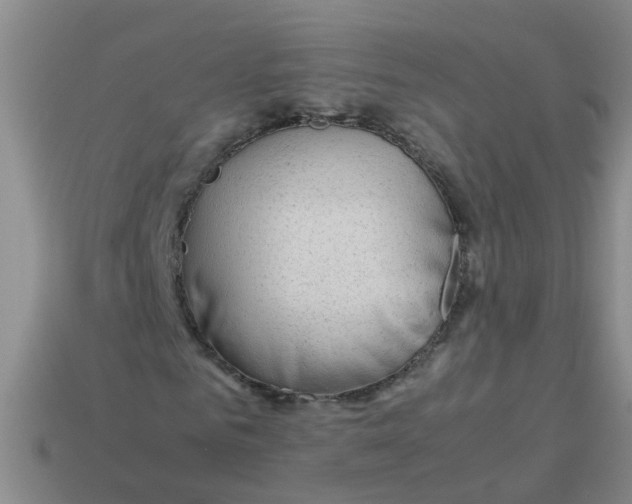 X0000113560961200910161453