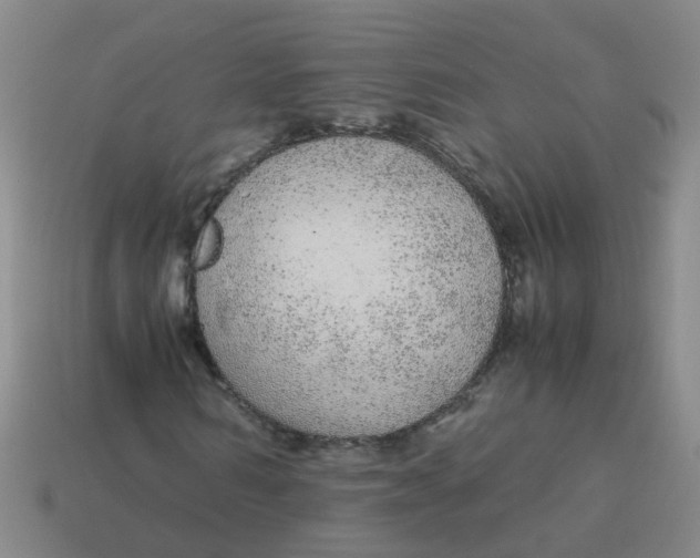 X0000113560962200910161453