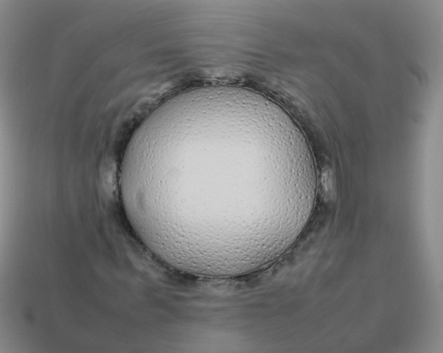 X0000113560963200910161453