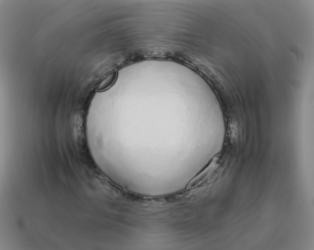 X0000113560964200910161453