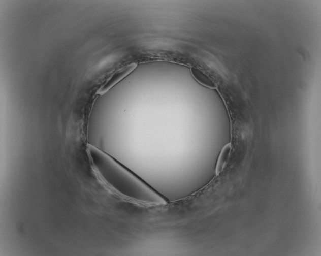 X0000113560965200910161453