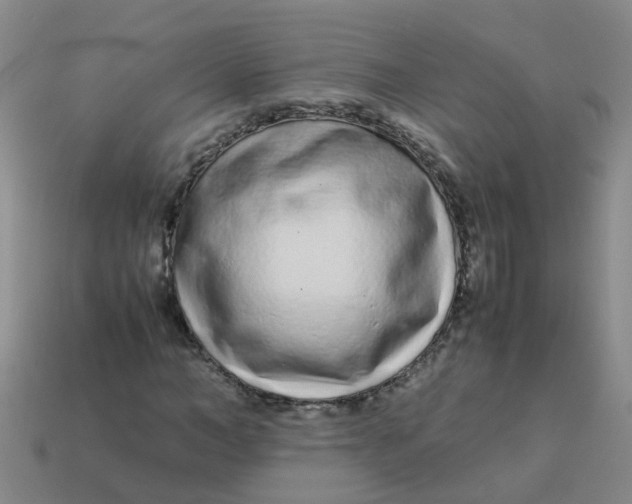 X0000113560966200910161453