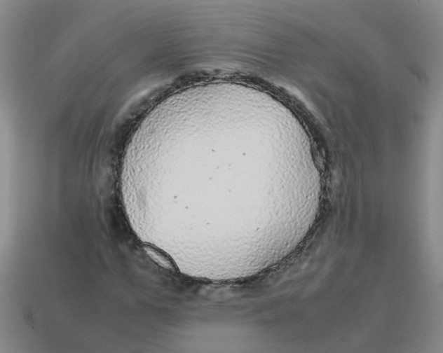 X0000113560967200910161453