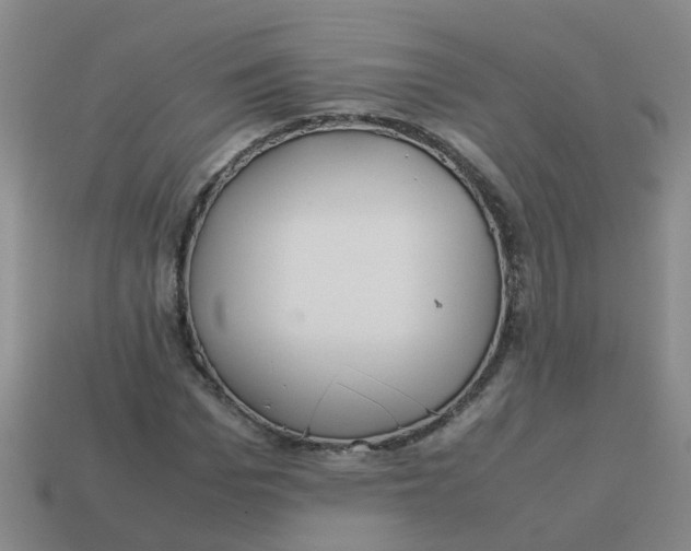 X0000113560969200910161453