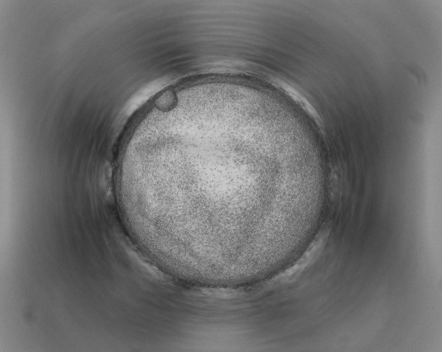 X0000113560970200910161453