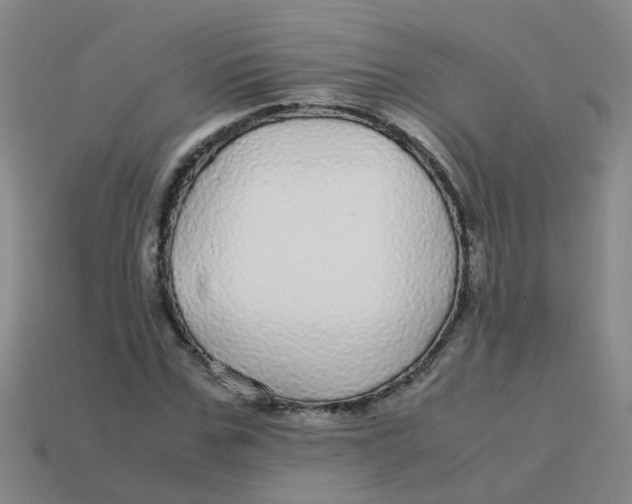X0000113560971200910161453