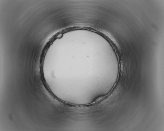 X0000113560972200910161453