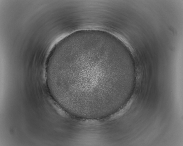 X0000113560974200910161453