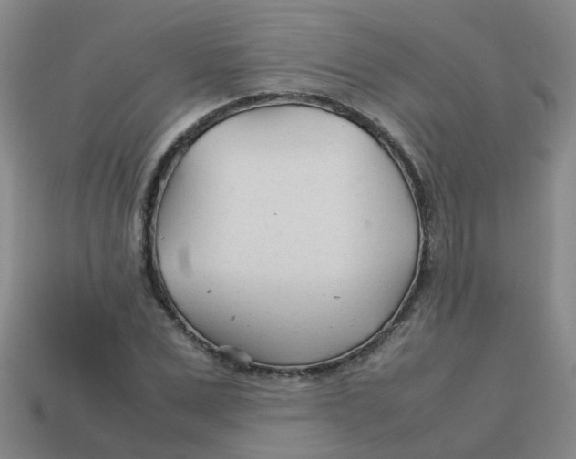 X0000113560975200910161453