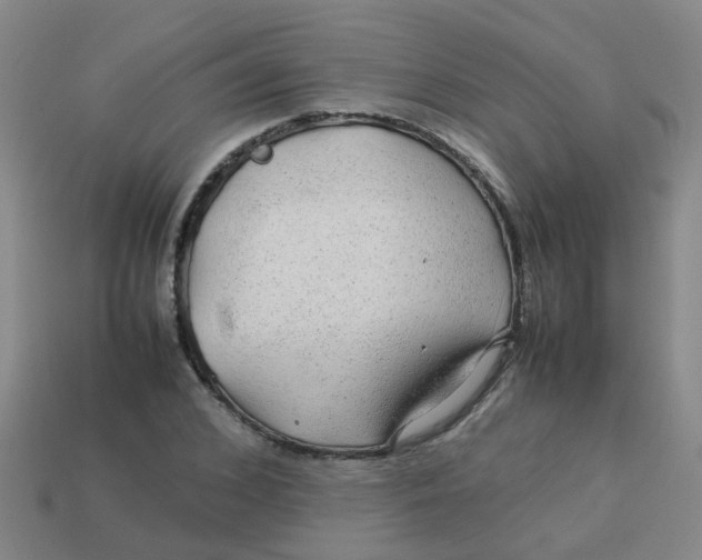 X0000113560976200910161453