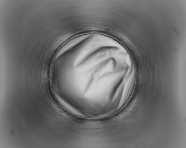 X0000113560977200910161453