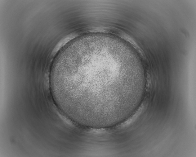 X0000113560978200910161453