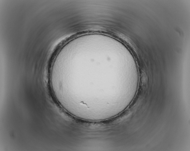 X0000113560979200910161453