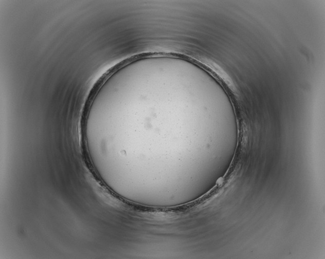 X0000113560980200910161453