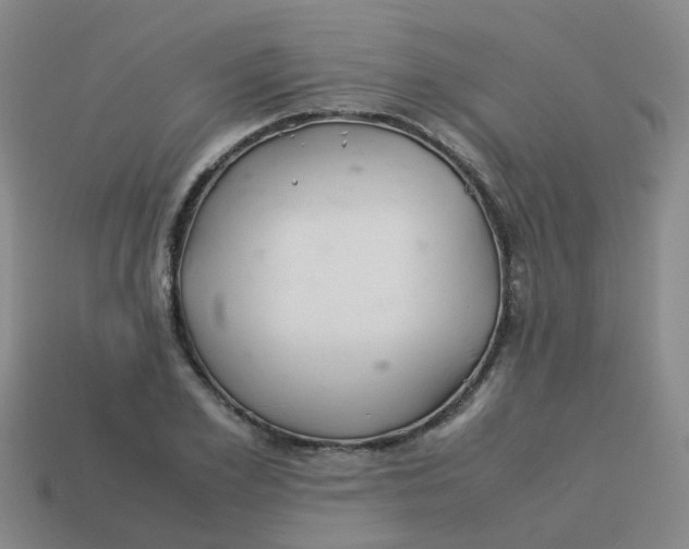 X0000113560981200910161452