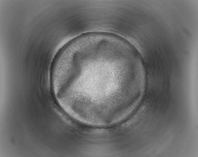 X0000113560982200910161452