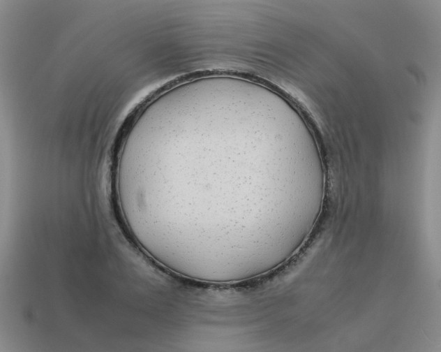 X0000113560983200910161452