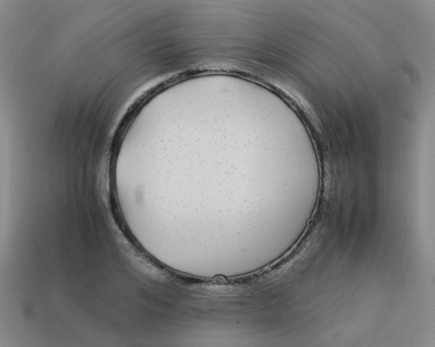 X0000113560984200910161452
