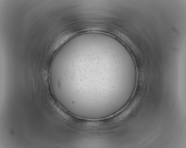 X0000113560985200910161452