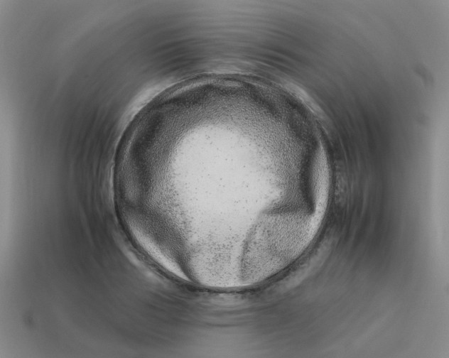 X0000113560986200910161452