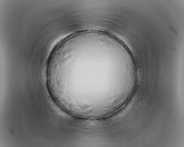 X0000113560987200910161452