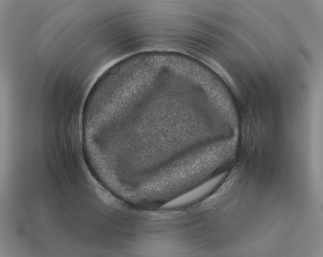 X0000113560988200910161452