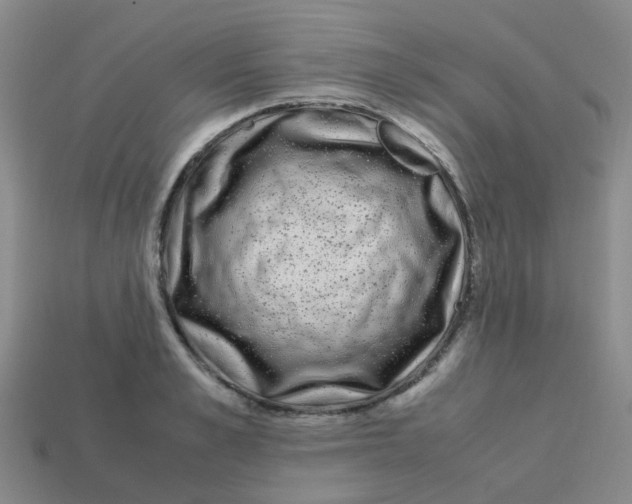 X0000113560989200910161452