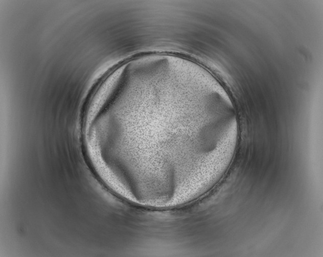 X0000113560990200910161452