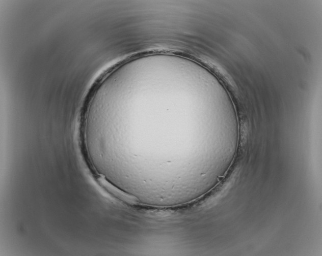 X0000113560991200910161452