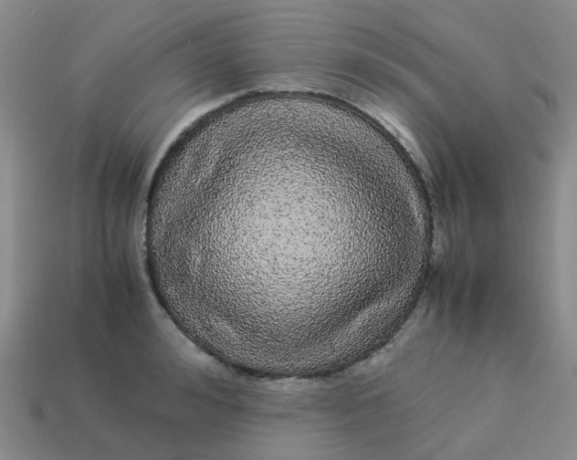 X0000113560992200910161452