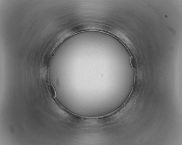 X0000113560993200910161452
