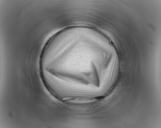 X0000113560995200910161452