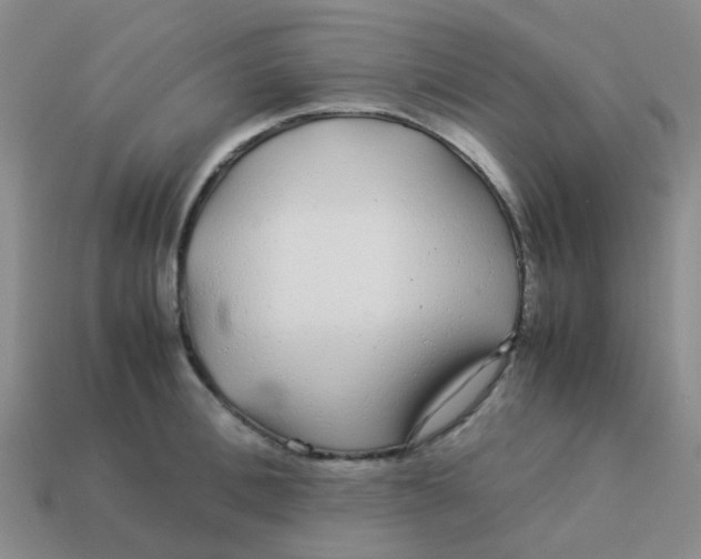 X0000113560996200910161452