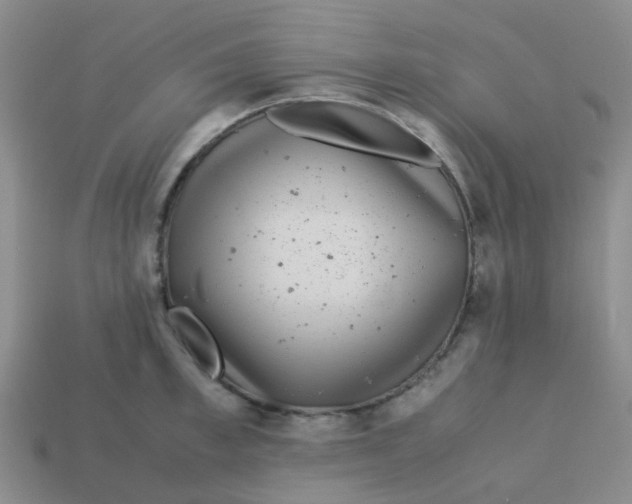 X0000113560997200910161452