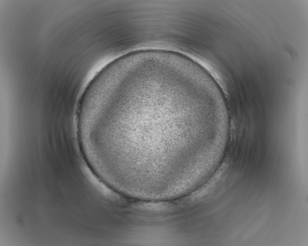 X0000113560998200910161452