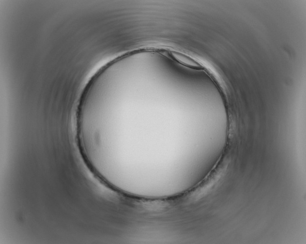X0000113560999200910161452