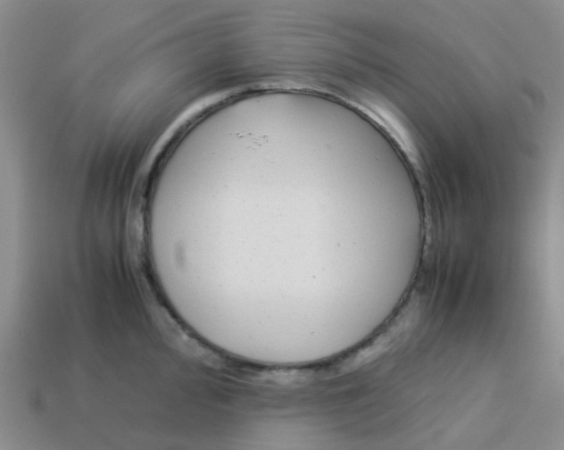 X0000113561000200910161452