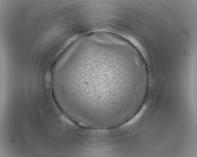 X0000113561001200910161452