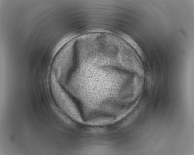 X0000113561002200910161452
