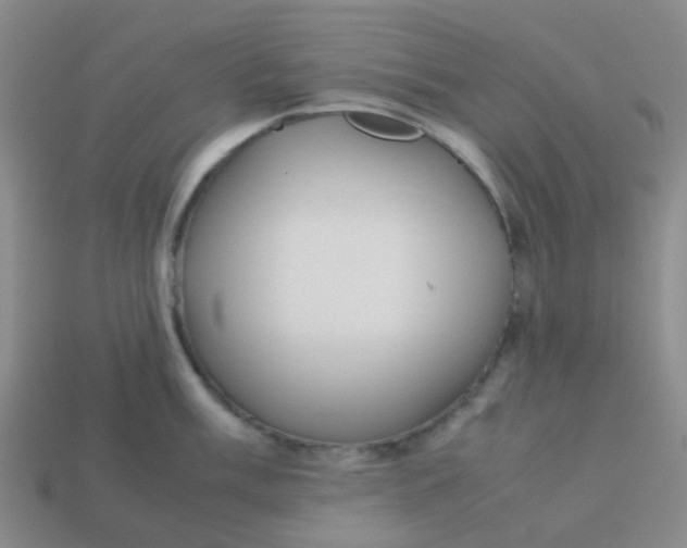 X0000113561003200910161452