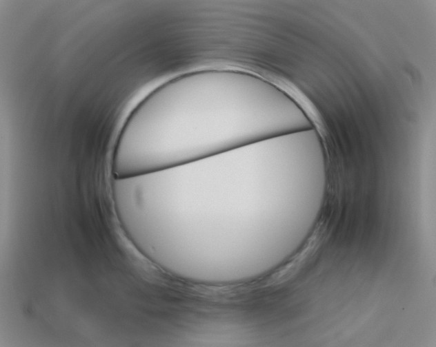 X0000113561004200910161452