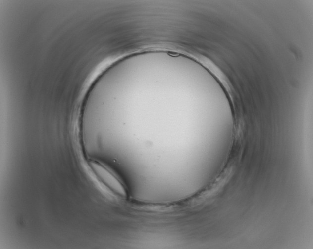 X0000113561005200910161452