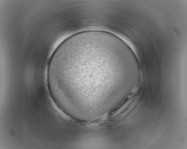 X0000113561006200910161452