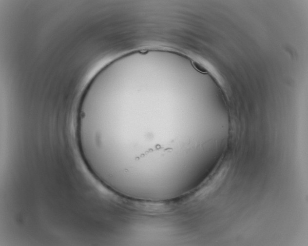X0000113561007200910161452