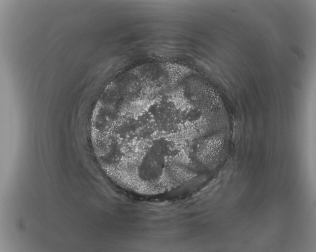 X0000113561009200910161452