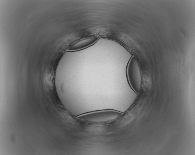 X0000113561010200910161452