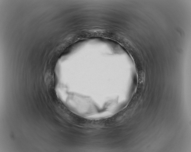 X0000113561011200910161452